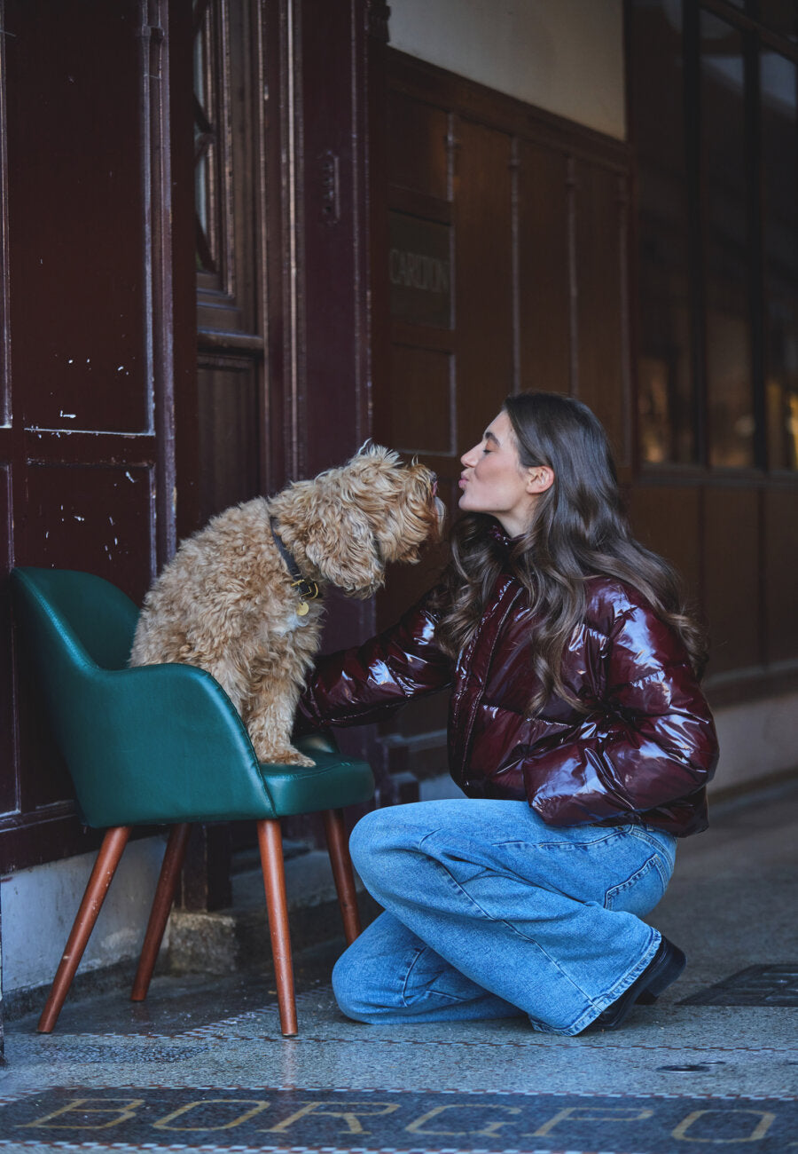 Dux Jacket - Deep Bordeaux