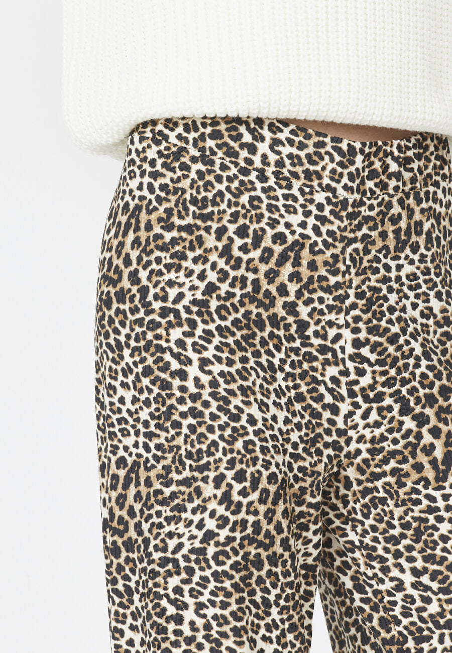 Vya Pant- Leo