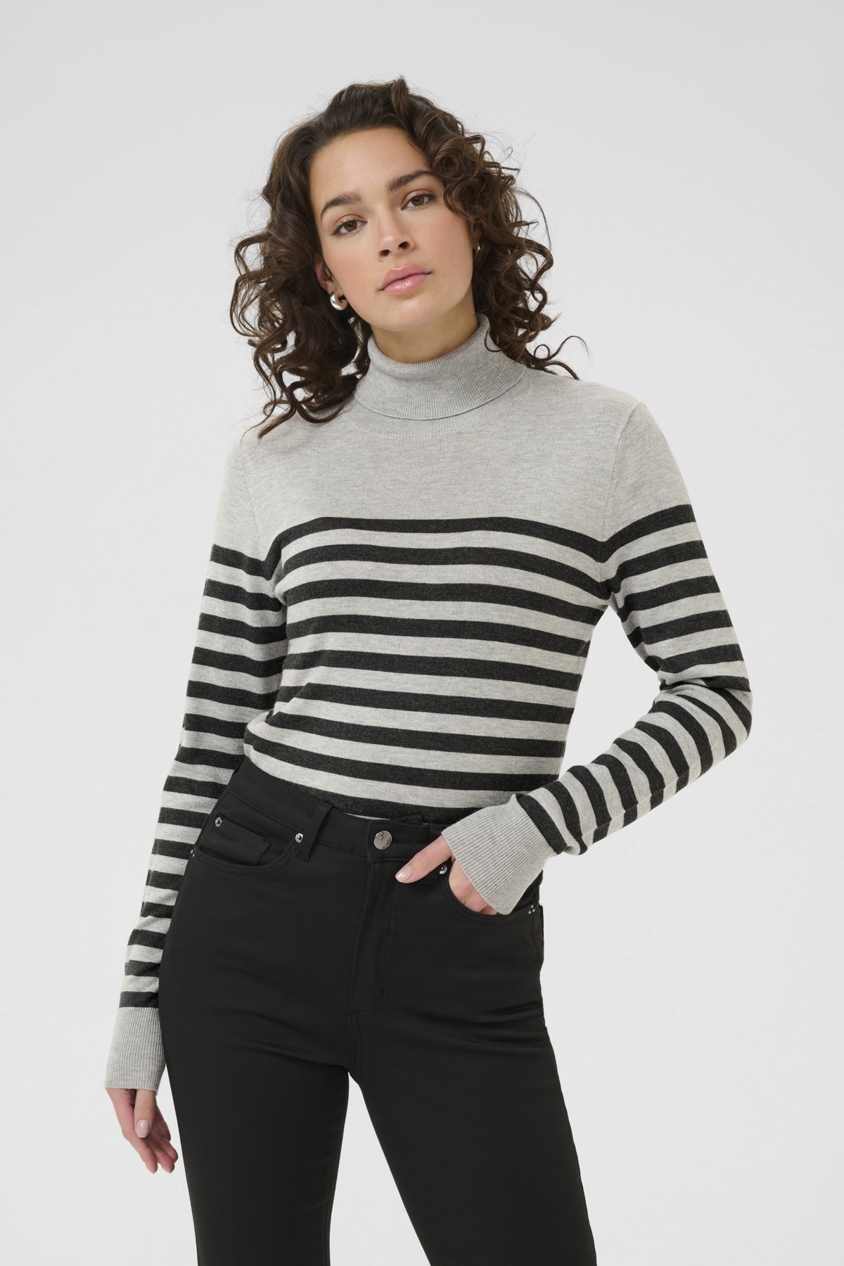 Lizza Rollneck Knit - Stripe