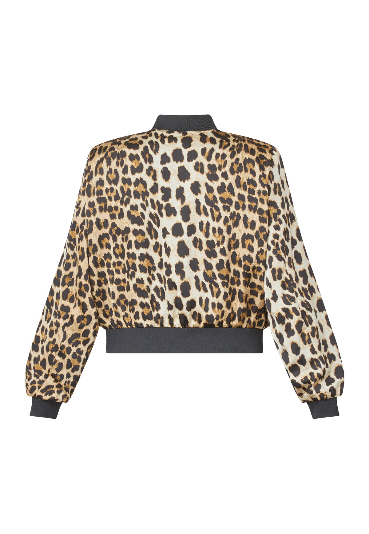 Garwin Jacket - Leo