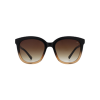 Billy - Black/Brown Transparent