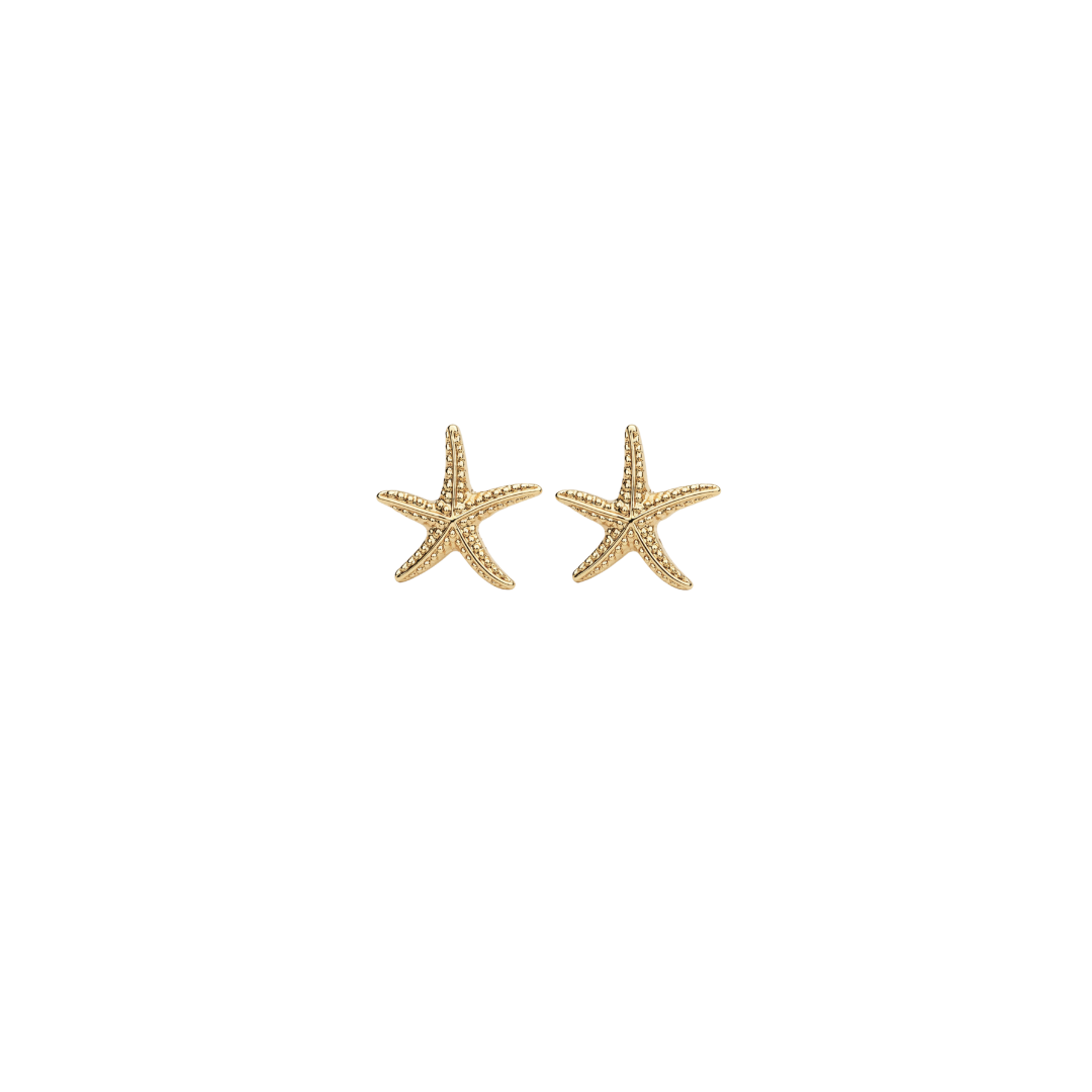 Starfish Studs - Gold