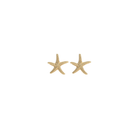 Starfish Studs - Gold